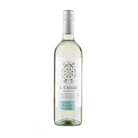 Pinot Grigio, Il Caggio, 75cl